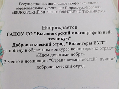 Диплом Волонтеры ВМТ